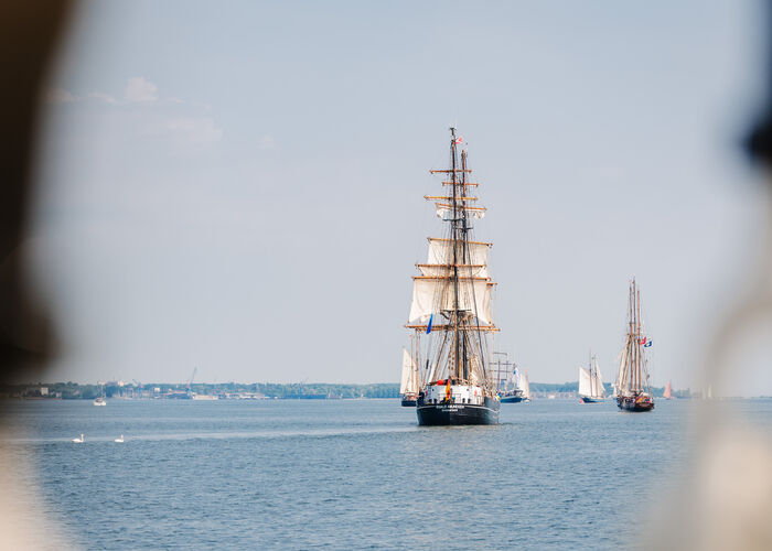 DSC_0767.jpg